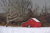 Little Red Shed_05345